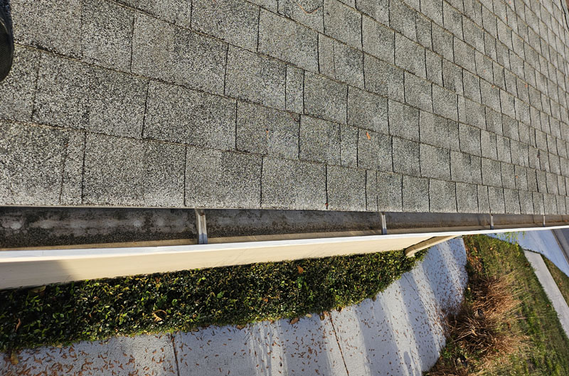 Gutter Cleaning